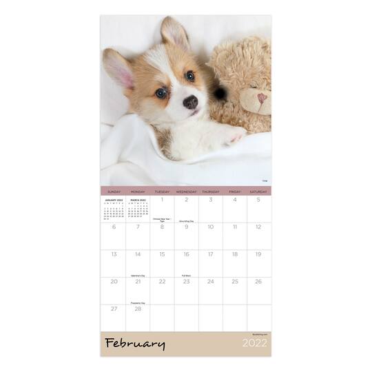 2022 puppies mini calendar michaels